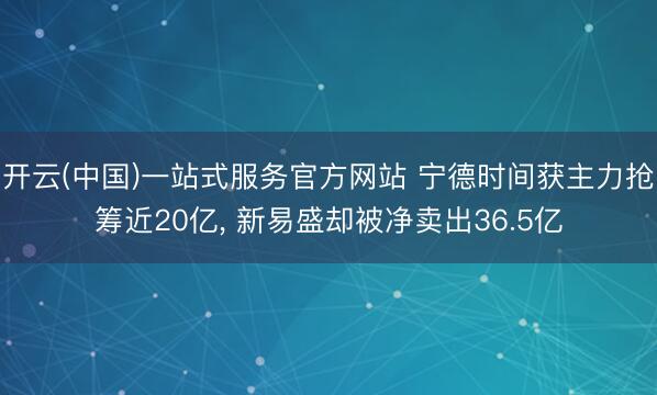开云(中国)一站式服务官方网站 宁德时间获主力抢筹近20亿， 新易盛却被净卖出36.5亿