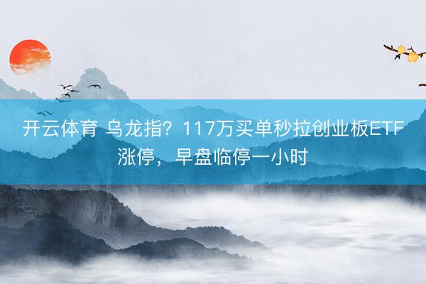 开云体育 乌龙指？117万买单秒拉创业板ETF涨停，早盘临停一小时
